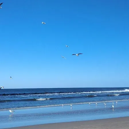 Fala Lägenhet Darlowko