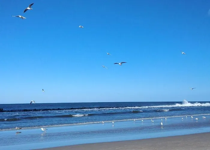 Fala Apartamento Darlowko